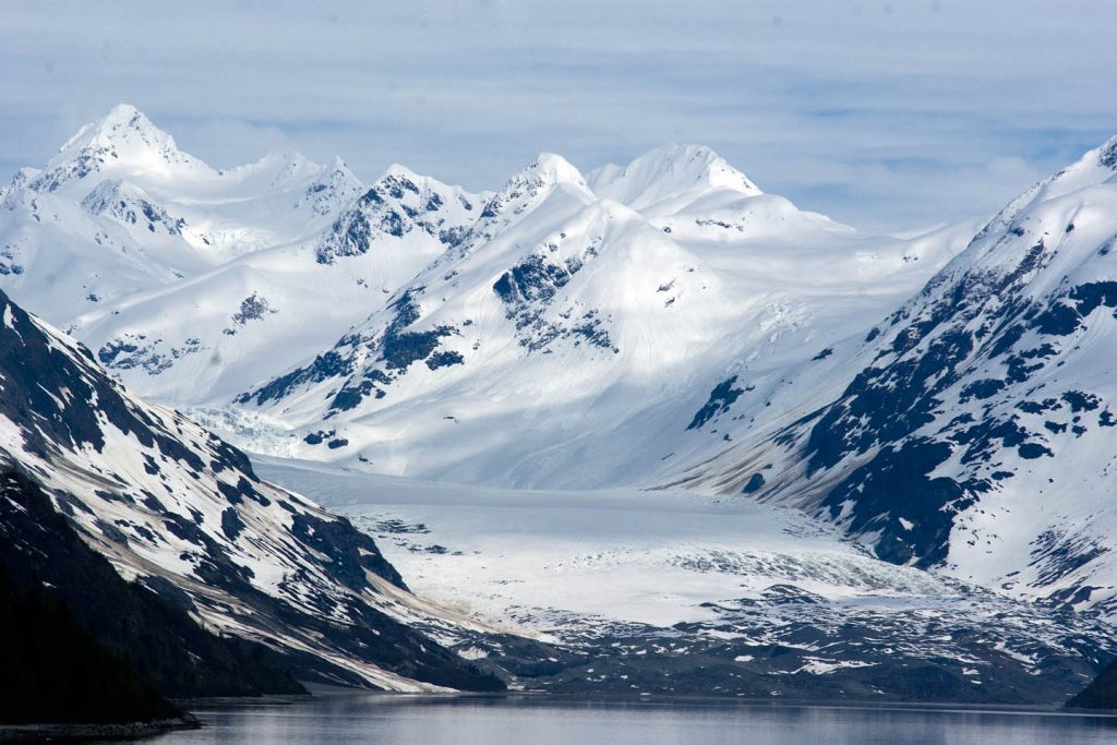 tundra ecosystem